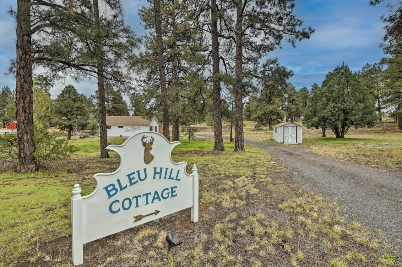 Ski Snow Bowl And Hike Cozy Flagstaff Cottage! Экстерьер фото
